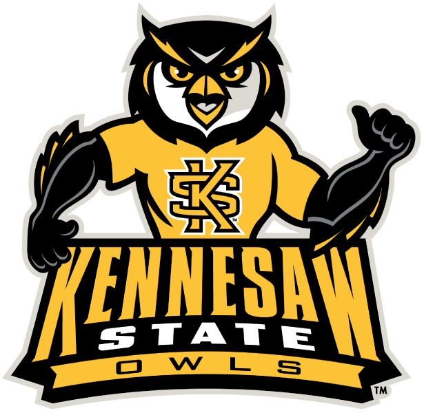 Kennesaw State Owls 2012-Pres Mascot Logo v2 DIY iron on transfer (heat transfer)